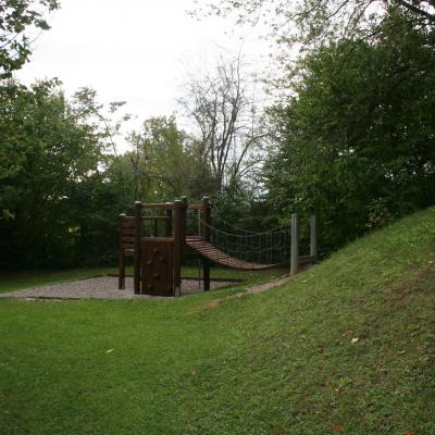 Img 3566
