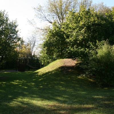 Img 3611